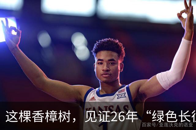 这棵香樟树，见证26年“绿色长征”